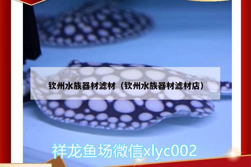 欽州水族器材濾材（欽州水族器材濾材店） 野生地圖魚