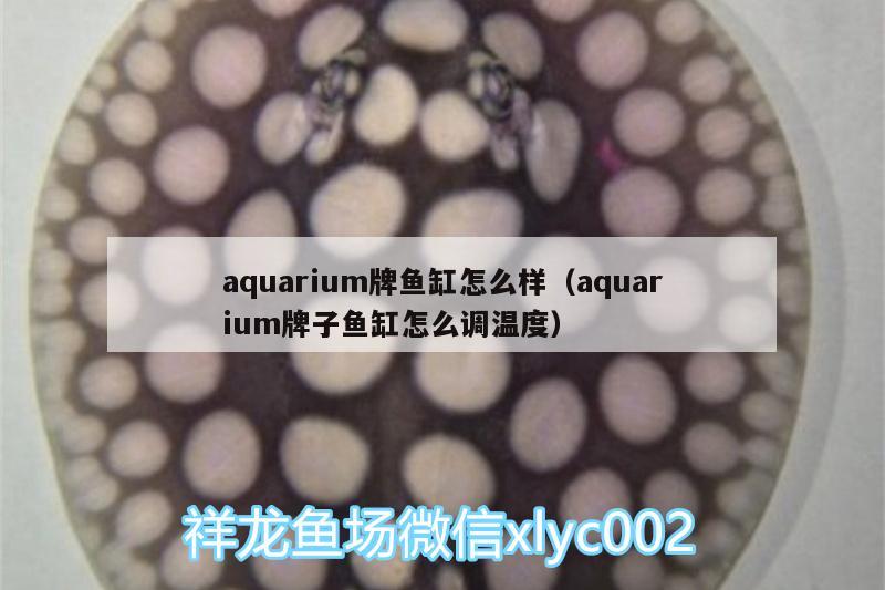 aquarium牌魚(yú)缸怎么樣（aquarium牌子魚(yú)缸怎么調(diào)溫度）