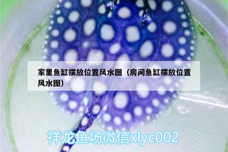 家里魚缸擺放位置風(fēng)水圖（房間魚缸擺放位置風(fēng)水圖）