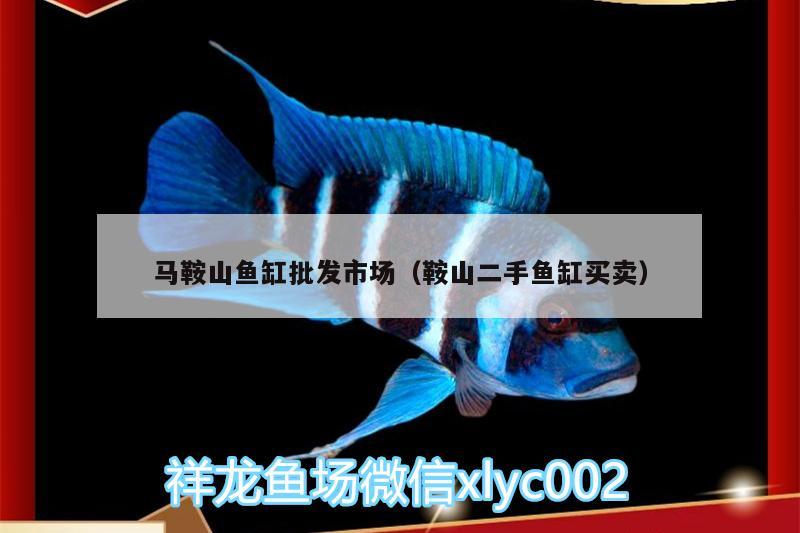 馬鞍山魚缸批發(fā)市場(chǎng)（鞍山二手魚缸買賣） 祥龍龍魚專用水族燈