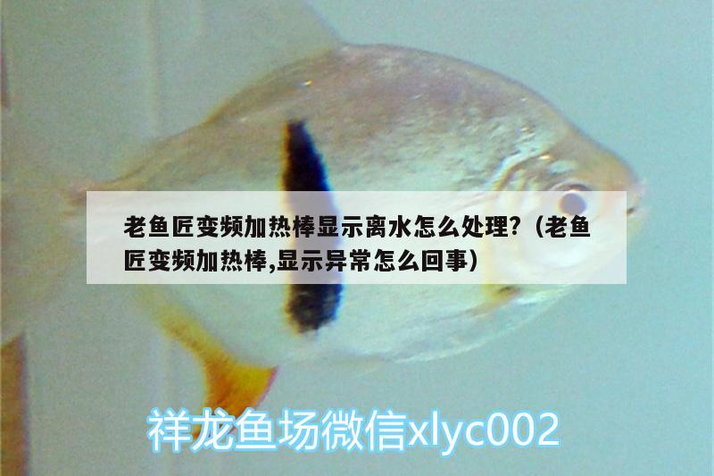 老魚匠變頻加熱棒顯示離水怎么處理?（老魚匠變頻加熱棒,顯示異常怎么回事）