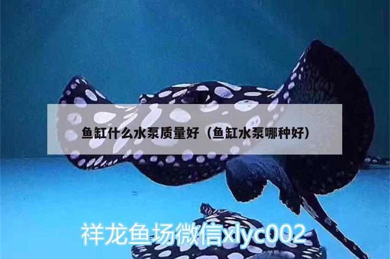 魚缸什么水泵質(zhì)量好（魚缸水泵哪種好） 魚缸水泵