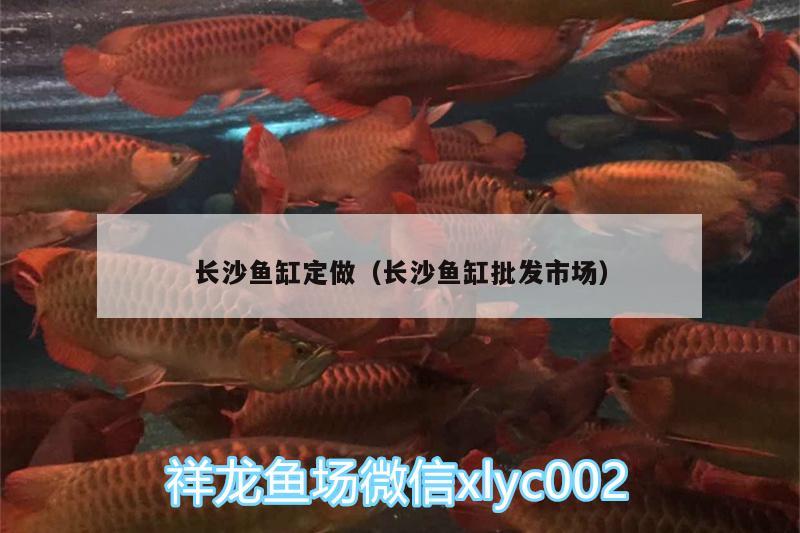 長沙魚缸定做（長沙魚缸批發(fā)市場） 龍鳳鯉魚