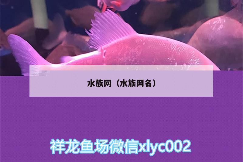 水族網(wǎng)（水族網(wǎng)名）