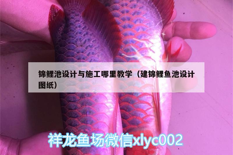 錦鯉池設計與施工哪里教學（建錦鯉魚池設計圖紙）