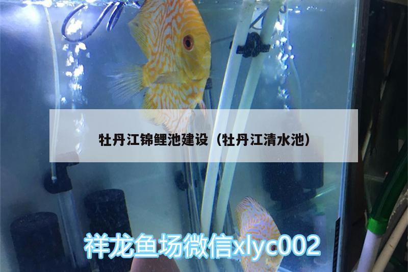 牡丹江錦鯉池建設(shè)（牡丹江清水池） 祥龍金禾金龍魚