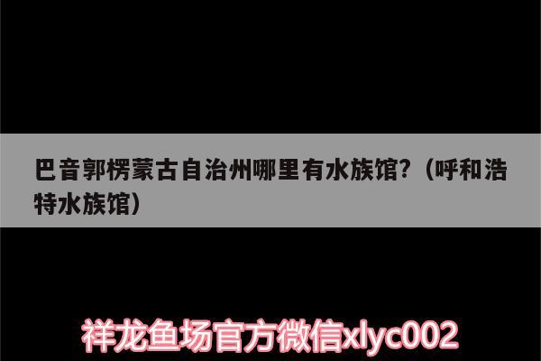 巴音郭楞蒙古自治州哪里有水族館?（呼和浩特水族館）