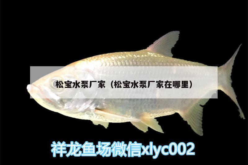 松寶水泵廠家（松寶水泵廠家在哪里） 大日玉鯖魚 第3張