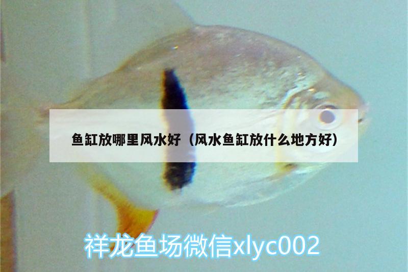 魚缸放哪里風水好（風水魚缸放什么地方好） 魚缸風水