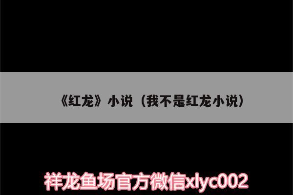 《紅龍》小說（我不是紅龍小說） 金三間魚