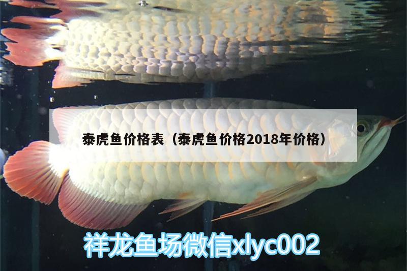 泰虎魚價格表（泰虎魚價格2018年價格）