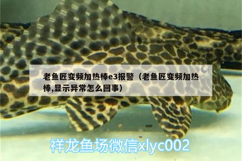 老魚匠變頻加熱棒e3報警（老魚匠變頻加熱棒,顯示異常怎么回事） 老魚匠