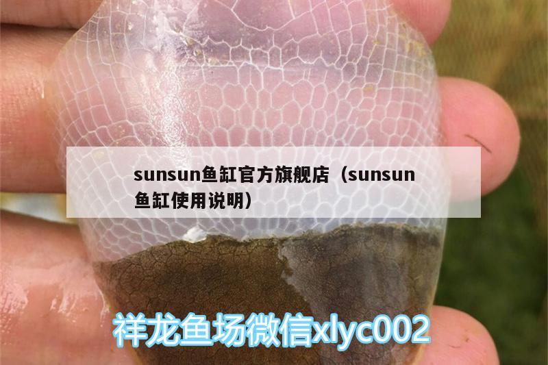 sunsun魚缸官方旗艦店（sunsun魚缸使用說(shuō)明） 金頭過(guò)背金龍魚