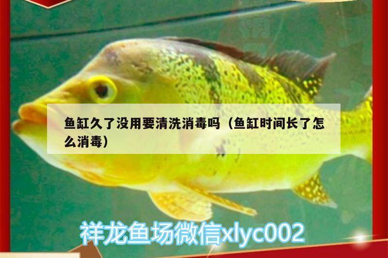 魚缸久了沒用要清洗消毒嗎（魚缸時間長了怎么消毒）