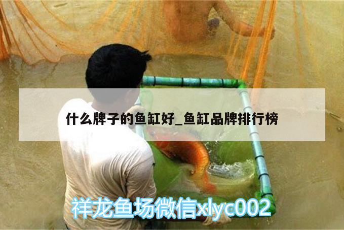 什么牌子的魚缸好_魚缸品牌排行榜