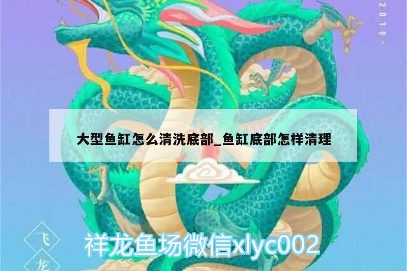 大型魚(yú)缸怎么清洗底部_魚(yú)缸底部怎樣清理 青龍魚(yú)