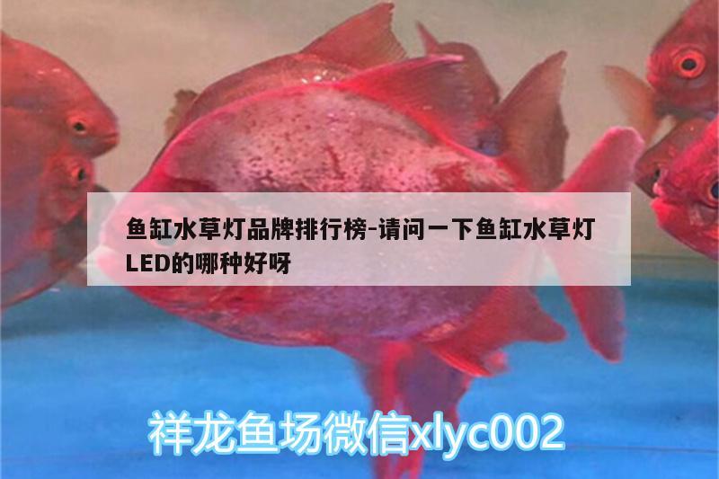 魚(yú)缸水草燈品牌排行榜:請(qǐng)問(wèn)一下魚(yú)缸水草燈LED的哪種好呀 水草