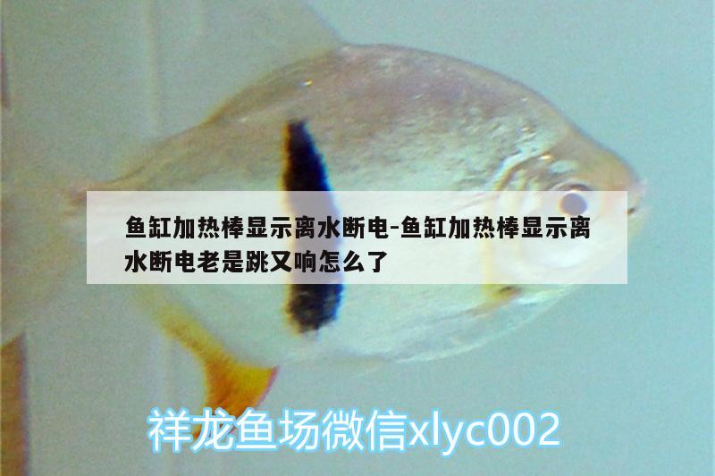 魚缸加熱棒顯示離水斷電:魚缸加熱棒顯示離水斷電老是跳又響怎么了 黃金貓魚百科