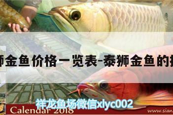 泰獅金魚價格一覽表:泰獅金魚的挑選