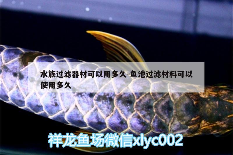 水族過濾器材可以用多久:魚池過濾材料可以使用多久 圖騰金龍魚