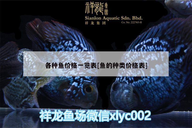 各種魚價(jià)格一覽表[魚的種類價(jià)格表] 高背金龍魚