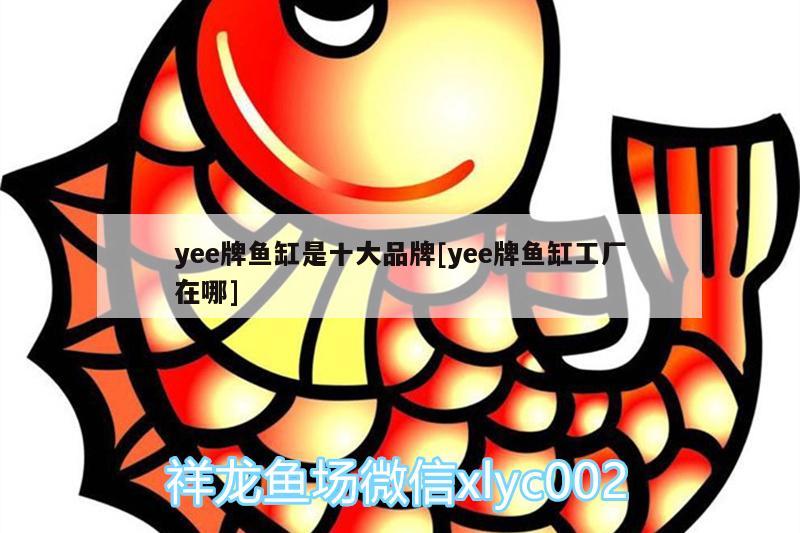 yee牌魚缸是十大品牌[yee牌魚缸工廠在哪] yee