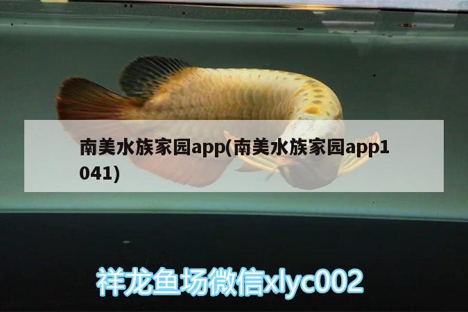 南美水族家園app(南美水族家園app1041)