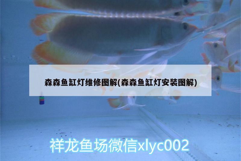 森森魚缸燈維修圖解(森森魚缸燈安裝圖解) 紅尾平克魚