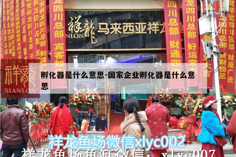 孵化器是什么意思:國家企業(yè)孵化器是什么意思