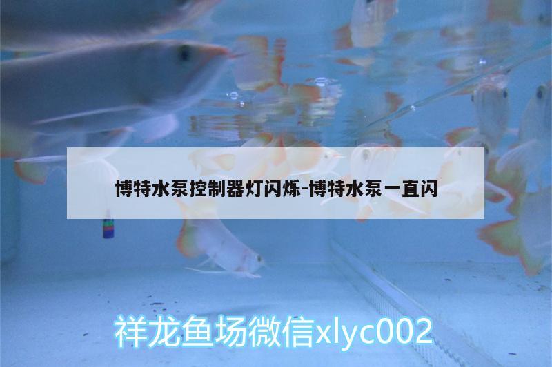 博特水泵控制器燈閃爍:博特水泵一直閃 博特水族