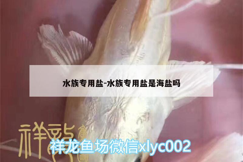 水族專用鹽:水族專用鹽是海鹽嗎