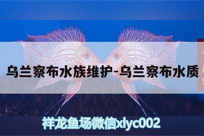 烏蘭察布水族維護(hù):烏蘭察布水質(zhì)