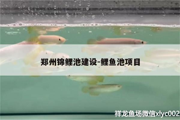 鄭州錦鯉池建設(shè):鯉魚池項(xiàng)目 除藻劑