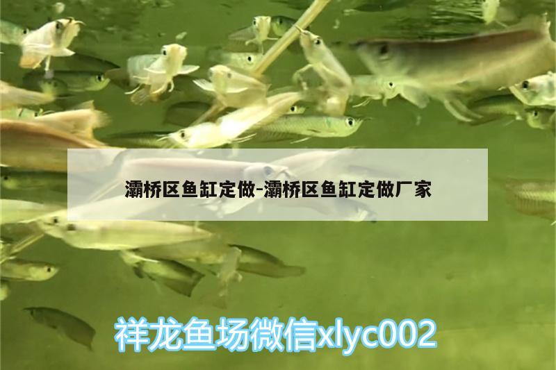 灞橋區(qū)魚缸定做:灞橋區(qū)魚缸定做廠家 肥料