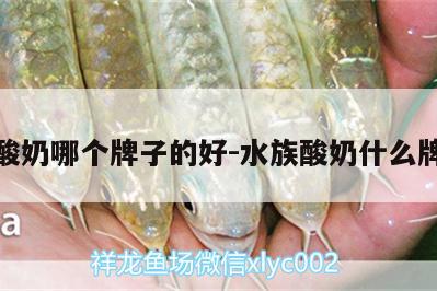 龍魚(yú)酸奶哪個(gè)牌子的好:水族酸奶什么牌子好