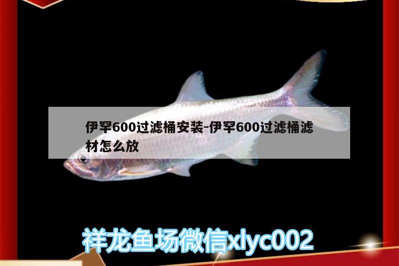 伊罕600過濾桶安裝:伊罕600過濾桶濾材怎么放