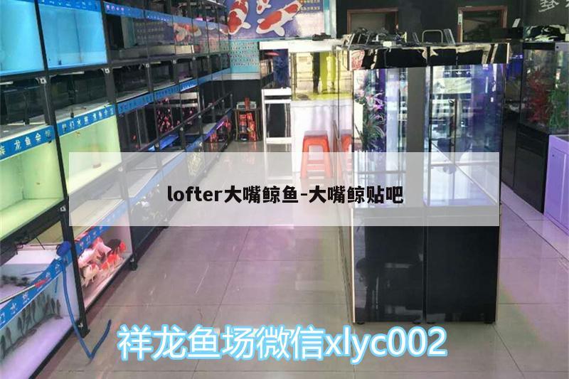 lofter大嘴鯨魚:大嘴鯨貼吧