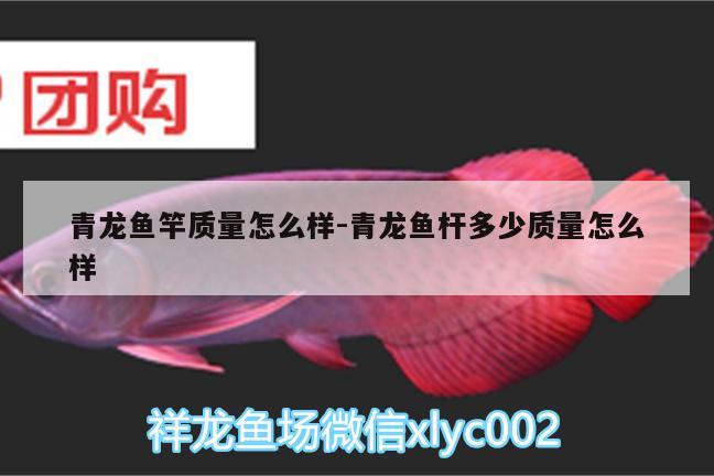 青龍魚竿質(zhì)量怎么樣:青龍魚桿多少質(zhì)量怎么樣