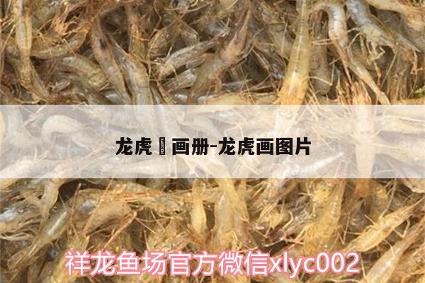 龍虎犳畫(huà)冊(cè):龍虎畫(huà)圖片 孵化器