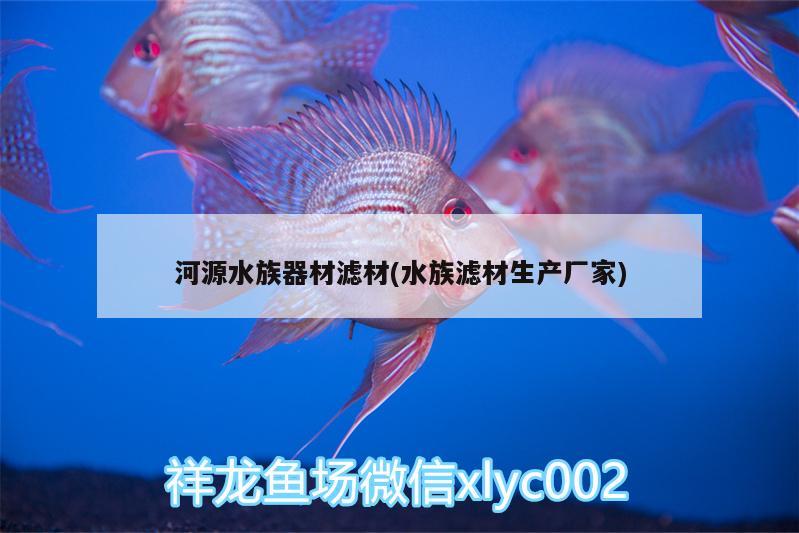 河源水族器材濾材(水族濾材生產(chǎn)廠家)