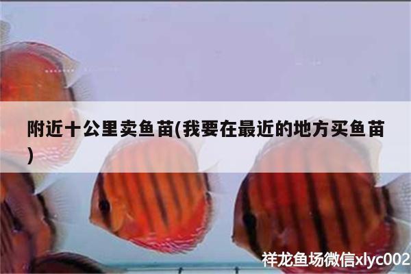 附近十公里賣魚苗(我要在最近的地方買魚苗)