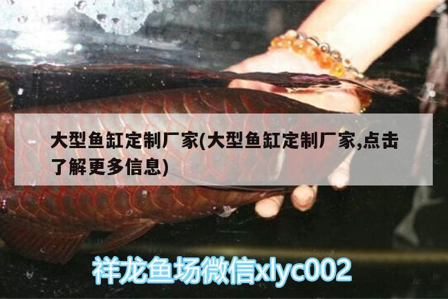 大型魚(yú)缸定制廠家(大型魚(yú)缸定制廠家,點(diǎn)擊了解更多信息) 潛水泵