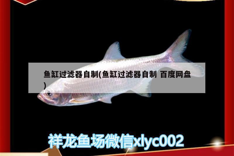 魚缸過濾器自制(魚缸過濾器自制百度網(wǎng)盤) 慈雕魚