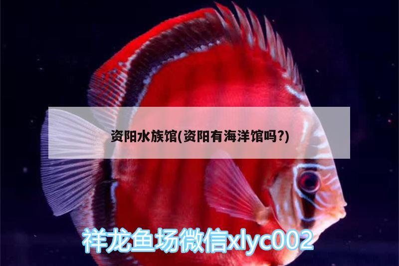 資陽水族館(資陽有海洋館嗎?) 祥龍魚場