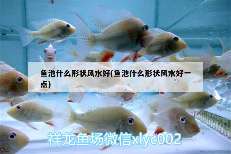 魚池什么形狀風水好(魚池什么形狀風水好一點) 魚缸風水