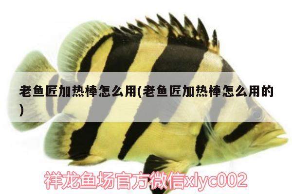 老魚匠加熱棒怎么用(老魚匠加熱棒怎么用的)