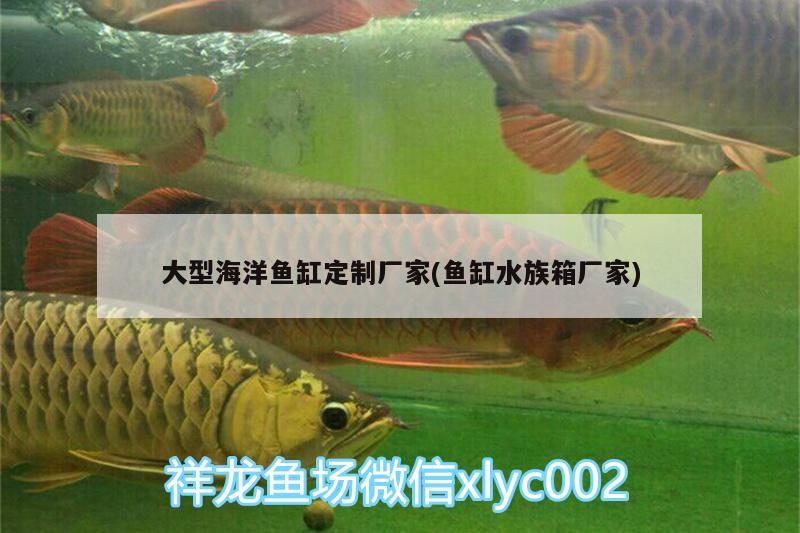 大型海洋魚缸定制廠家(魚缸水族箱廠家)