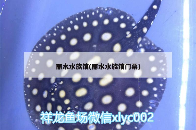 麗水水族館(麗水水族館門票) 一眉道人魚苗 第2張