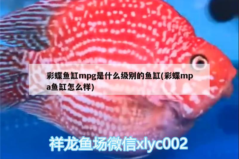 彩蝶魚(yú)缸mpg是什么級(jí)別的魚(yú)缸(彩蝶mpa魚(yú)缸怎么樣)