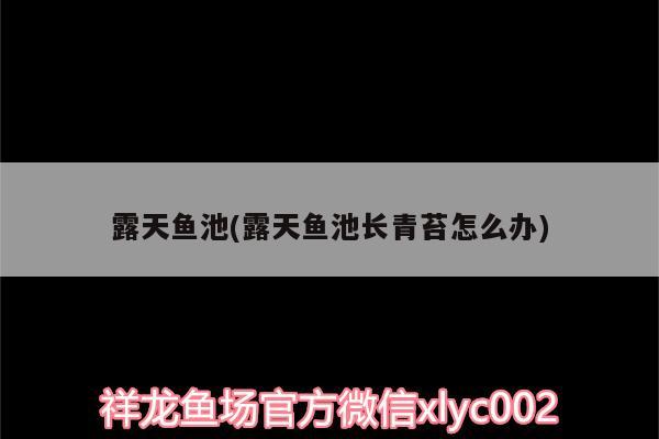 露天魚池(露天魚池長青苔怎么辦)